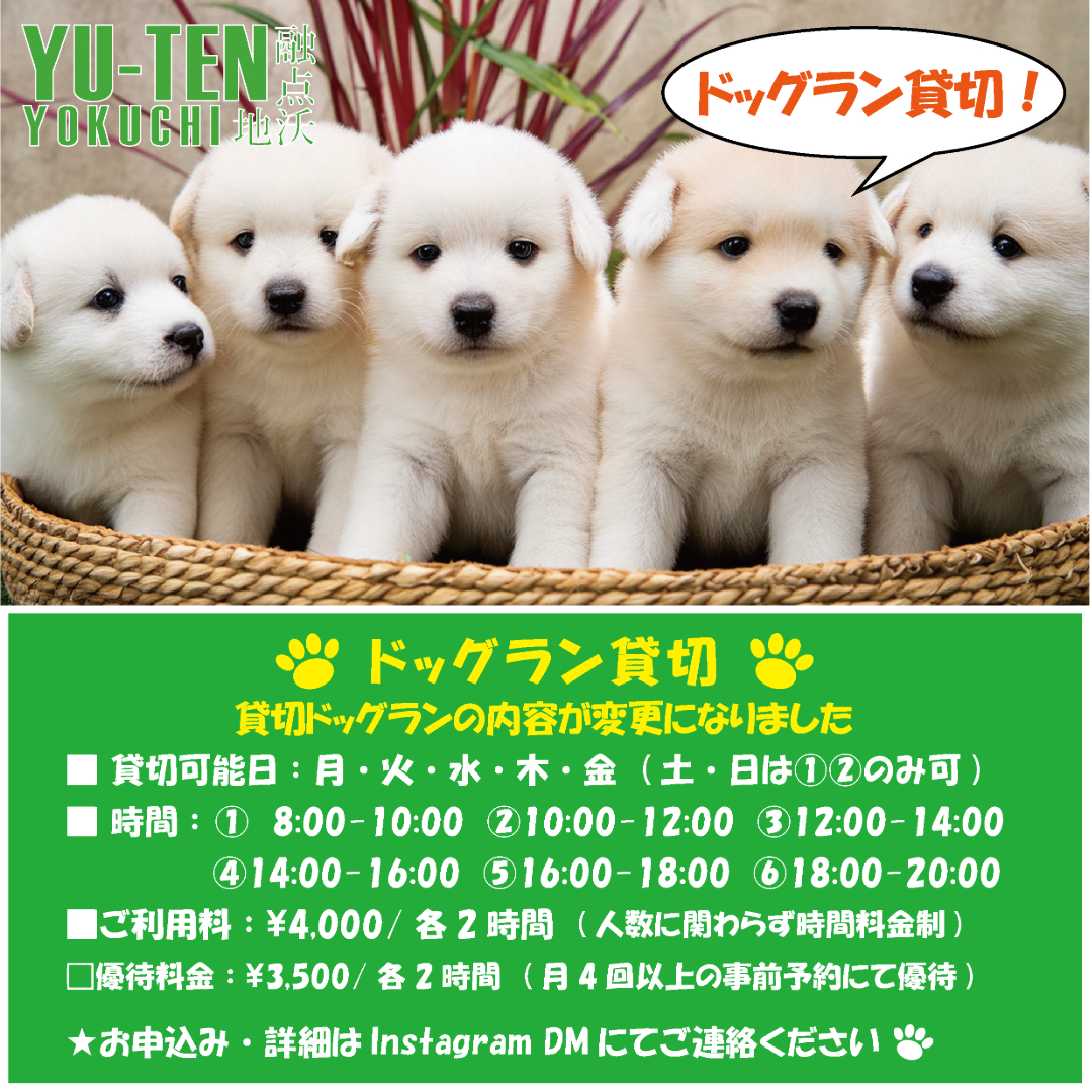 ドッグラン貸切のお知らせ🐶