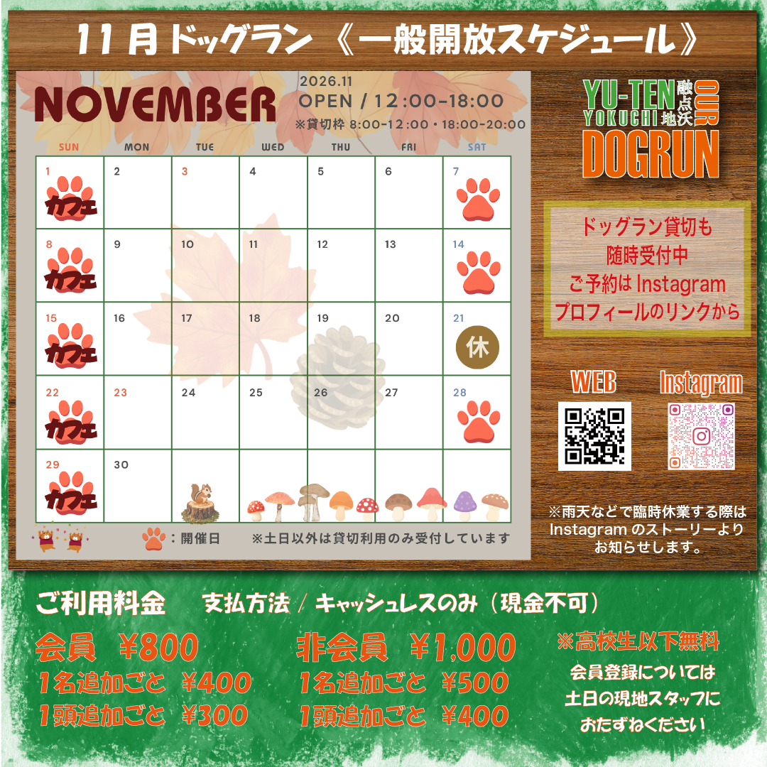 YUTEN YOKUCHI 2026.11月 スケジュール